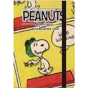 P-11909 [SNOOPY/CK B6ノート フライングA]