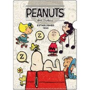 P-11919 [SNOOPY/CK A4Cフォルダー 犬小屋]