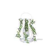 Aroma patio (アロマパティオ) テーブルランプ ホワイト LT3684WH