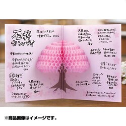 ヨドバシ Com デザインフィル Designphil カラー色紙 二つ折り ハニカム 桜柄 通販 全品無料配達