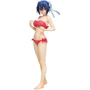 BEACH QUEENS ニセコイ 鶫誠士郎 [1/10スケール 塗装済み完成品フィギュア]