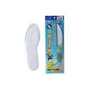 M050-2979 [is-fit 働く男 タオル生地インソール 男性用 フリーサイズ 24.0～27.0cm]
