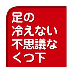 ヨドバシ.com - 桐灰化学 桐灰 足の冷えない不思議なくつ下 レギュラー