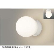 LEDアウトドアライト ランプ別売 白熱灯40W形相当 天井・壁面兼用 SL端子台付き LEDB88904(W)
