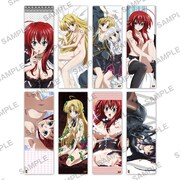 ハイスクールD×D シャワーポスターコレクション