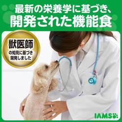 ヨドバシ Com マースジャパン アイムス Iams 7歳以上用 健康サポート チキン 小粒 12kg 通販 全品無料配達