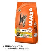 インドア 毛玉ケア 1～6歳 うまみチキン味 850g [キャットフード]