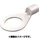 R 14-6S 100P [銅線用 裸圧着端子 R形 100個入]