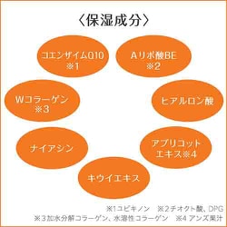 ヨドバシ.com - カネボウ Kanebo フレッシェル アクアモイスチャー