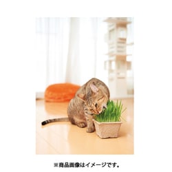 ヨドバシ.com - エイムクリエイツ AIM CREATE 犬と猫が好きな草の栽培