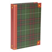 ポケットアルバム ピエナ Lサイズ 80枚収納 チェック API-L80CHE