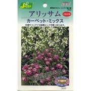 KS300シリーズ(草花) No.303 アリッサム カーペット・ミックス