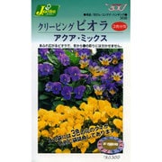 KS300シリーズ（草花） No.308 クリーピングビオラ アクアミックス