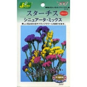 KS300シリーズ（草花） No.312 スターチス シニュアータ・ミックス