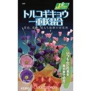 KS300シリーズ トルコギキョウ 一重咲混合 300 322