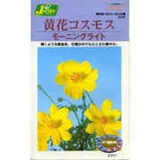 KS200シリーズ（草花） No.234 黄花コスモス モーニングライト
