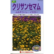KS200シリーズ（草花） No.253 クリサンセマム ムルチコーレイエロ