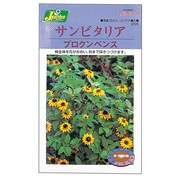 KS200シリーズ サンビタリア プロクンペンス 200 255