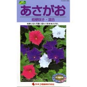 KS200シリーズ（草花） No.265 あさがお 桔梗咲き・混合