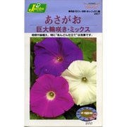 KS200シリーズ（草花） No.267 あさがお 巨大輪咲き・ミックス
