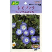 KS200シリーズ(草花) No.258 ネモフィラ インシグニスブルー