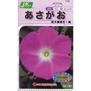 KS150シリーズ あさがお 巨大輪咲き・桃 150 708