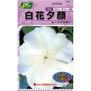 KS150シリーズ 白花夕顔 ムーンフラワー 150 746