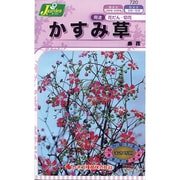 KS150シリーズ かすみ草 赤花 150 720