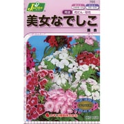 KS150シリーズ 美女なでしこ 混合 150 765
