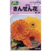 KS150シリーズ きんせん花 混合 150 727