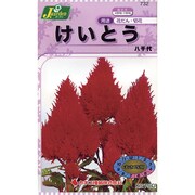 KS150シリーズ けいとう 八千代 150 732