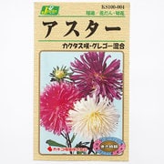 KS100シリーズ（草花） No.004 アスター カクタス咲きグレゴー混合