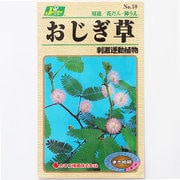 KS100シリーズ（草花） No.010 おじぎ草