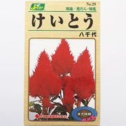 KS100シリーズ（草花） No.028 けいとう 八千代