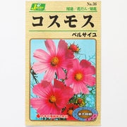 KS100シリーズ（草花） No.036 コスモス ベルサイユ