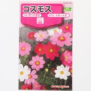 KS100シリーズ（草花） No.033 コスモス わい性ベガ混合