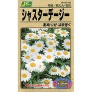 KS100シリーズ シャスターデージーあめりかはまぎく 100 045