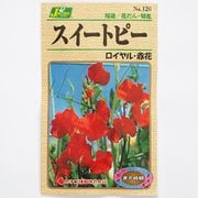 KS100シリーズ（草花） No.126 スイートピー ロイヤル・赤花