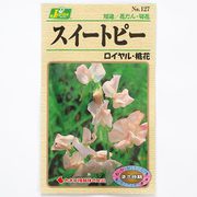 KS100シリーズ（草花） No.127 スイートピー ロイヤル・桃花