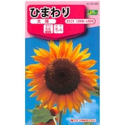 KS100シリーズ（草花） No.080 ひまわり 太陽