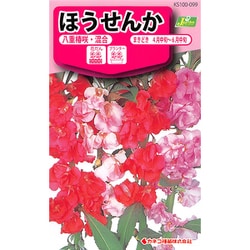 ヨドバシ.com - カネコ種苗 ジェーガーデン J.garden KS100