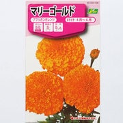 KS100シリーズ（草花） No.106 マリーゴールド アフリカンオレンジ