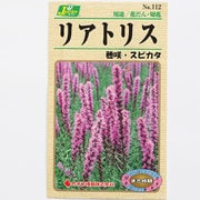 KS100シリーズ（草花） No.112 リアトリス 穂咲・スピカタ
