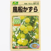 KS100シリーズ（草花） No.149 風船かずら