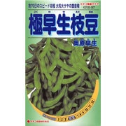 KS100シリーズ（野菜） No.567 極早生枝豆 奥原早生