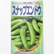 KS100シリーズ(野菜) No.569 スナップエンドウ シュガースナップ