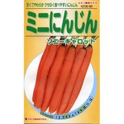KS100シリーズ（野菜） No.561 ミニにんじん ソニーキャロット