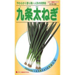 ヨドバシ Com カネコ種苗 ジェーガーデン J Garden Ks100シリーズ 野菜 No 556 九条太ねぎ 通販 全品無料配達