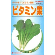 KS100シリーズ（野菜） No.526 ビタミン菜