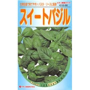 KS100シリーズ（野菜） No.566 スイートバジル